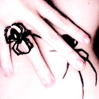 Spider