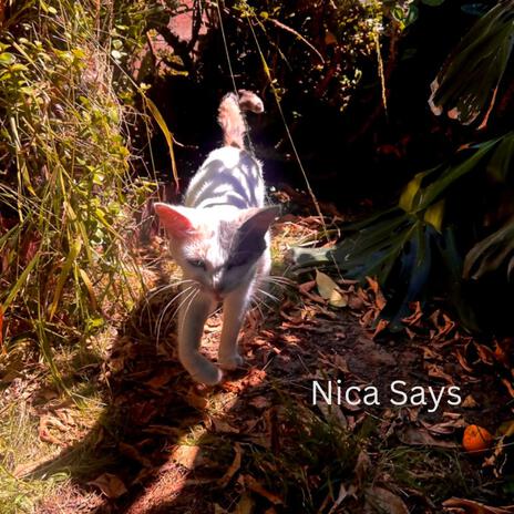 Nica Says | Boomplay Music