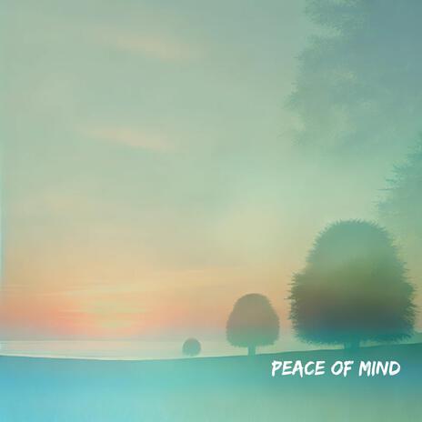 Peace of mind | Boomplay Music