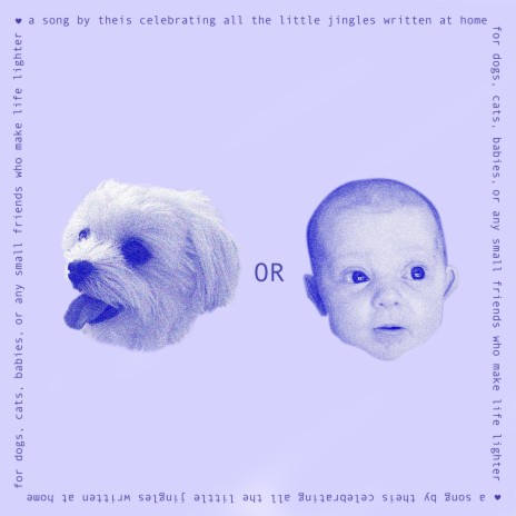 Dog or Baby? | Boomplay Music