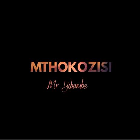 Mthokozisi | Boomplay Music