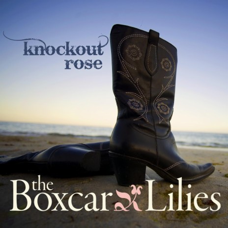 Knockout Rose | Boomplay Music