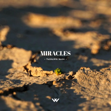 Miracles ft. Vashawn Nash | Boomplay Music