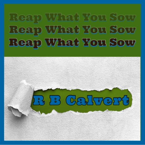 Reap What You Sow | Boomplay Music