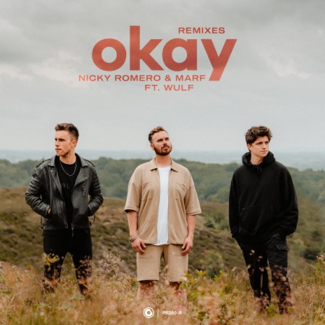 Okay (Afrojack Remix) ft. MARF & Wulf | Boomplay Music