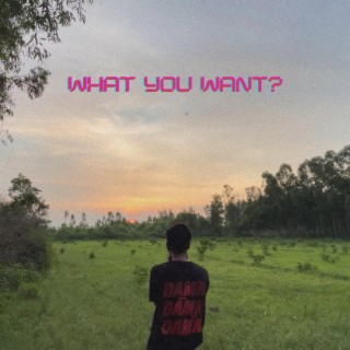 What You Want?