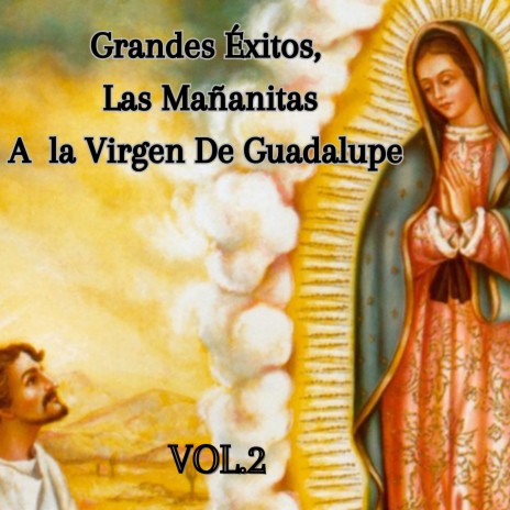 Cantando las Mañanitas a la Virgen de Guadalupe (En Vivo) ft. Grupo Nueva Vida | Boomplay Music