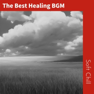 The Best Healing BGM