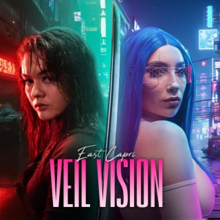 Veil Vision lyrics | Boomplay Music