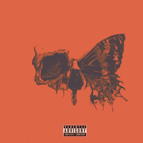 Dead Butterflies | Boomplay Music