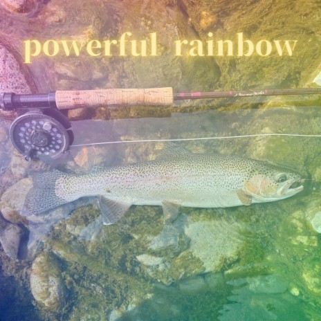 Powerful Rainbow | Boomplay Music