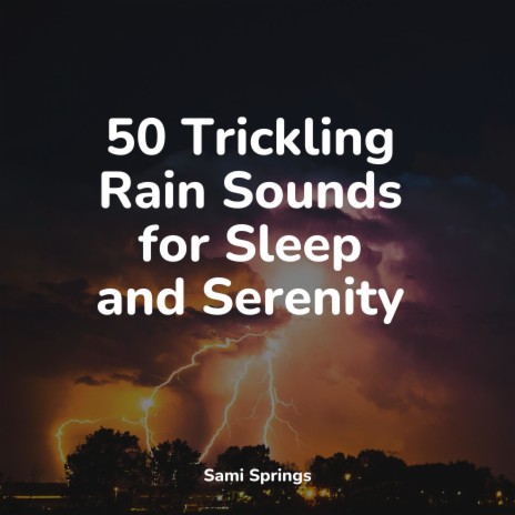 Rain, Evening, Leaves | Boomplay Music