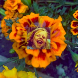 marigold in your garden