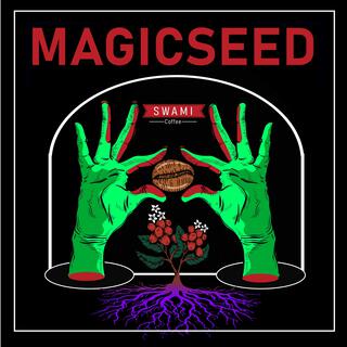 Magic Seed (feat. Omid Pakdel)