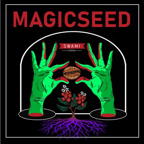 Magic Seed (feat. Omid Pakdel) | Boomplay Music