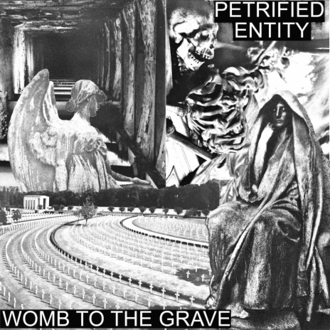 Womb to the Grave | Boomplay Music