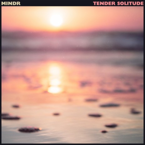 Tender Solitude | Boomplay Music