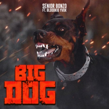Peki - BIG DOG MP3 Download & Lyrics