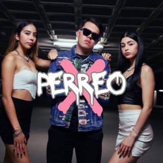 PERREO X lyrics | Boomplay Music