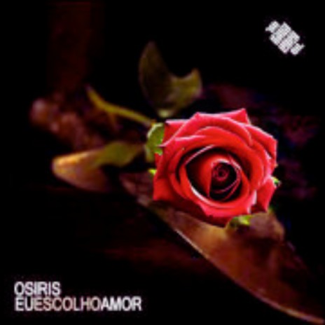 Eu Escolho Amor | Boomplay Music