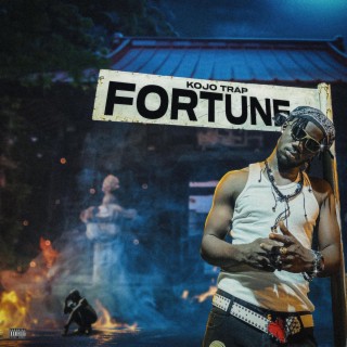FORTUNE | Boomplay Music