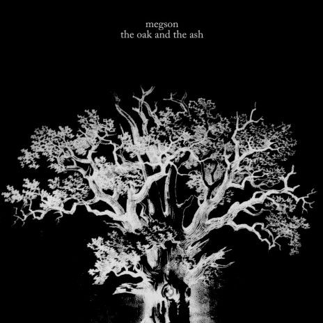 The Oak & The Ash | Boomplay Music