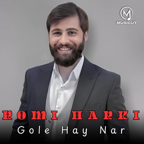 Gole Hay Nar (Dawat Romi Harki) | Boomplay Music