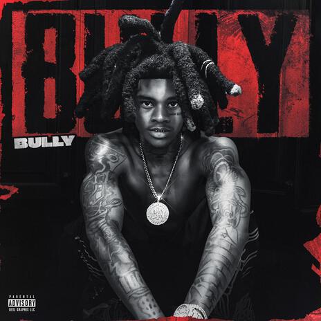 Bully | Boomplay Music