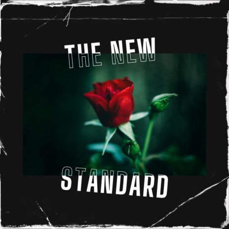 The New Standard | Boomplay Music