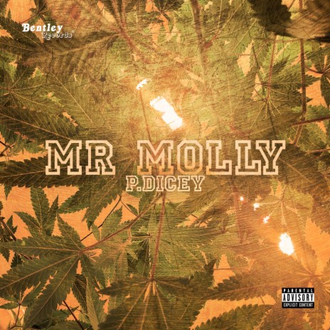 Mr Molly | Boomplay Music