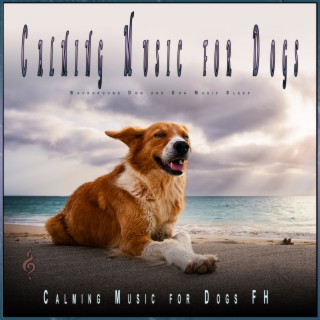 Calming Music for Dogs: Background Dog Sleeping Music