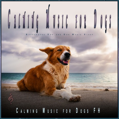 Sleeping Dogs with Background Ocean Sounds ft. Calming Music For Dogs & Dog Music Experience | Boomplay Music