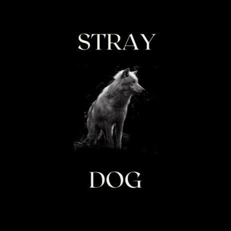 Stray Dog | Boomplay Music