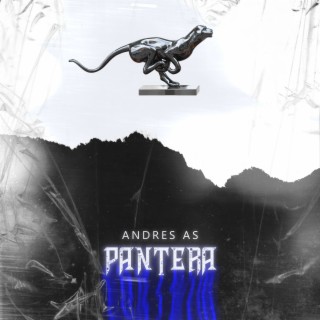 Pantera