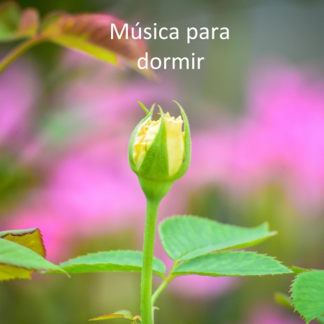 Realidad profunda ft. Soothing music | Boomplay Music