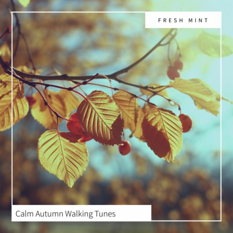 Whimsical Leaf Walks | Boomplay Music