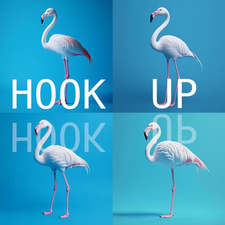 HOOK UP | Boomplay Music