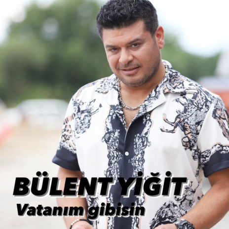 Vatanım Gibisin | Boomplay Music