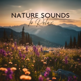 Nature Sounds To Relax: Beautiful Music From Mother Nature [Sleep, Study, Yoga, Meditation]