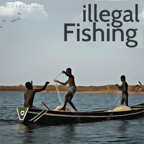 Illegal Fishing | Boomplay Music