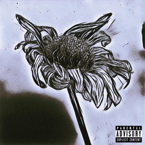 Dead Flowers | Boomplay Music