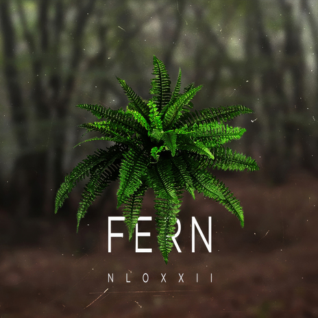 Fern | Boomplay Music