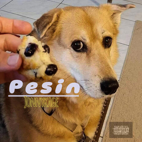 Pesin | Boomplay Music