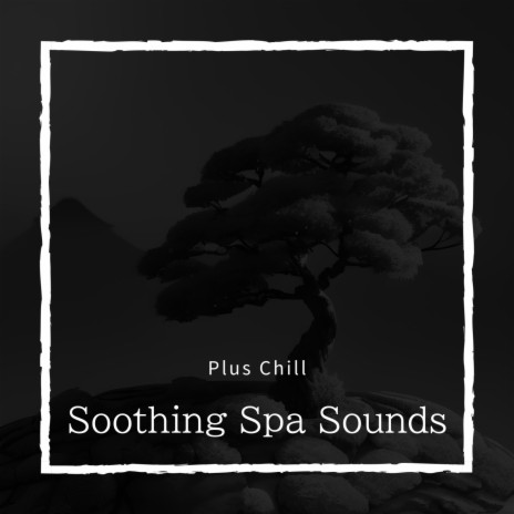 Relaxation Aromas | Boomplay Music