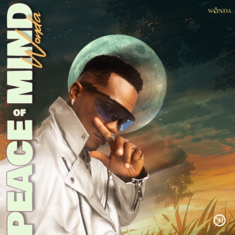 Peace Of Mind | Boomplay Music