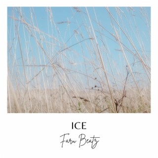 ICE (feat. YGZ)