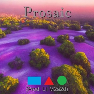 Prosaic