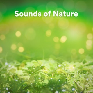 Sounds of Nature