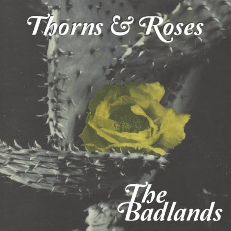 Thorns & Roses | Boomplay Music