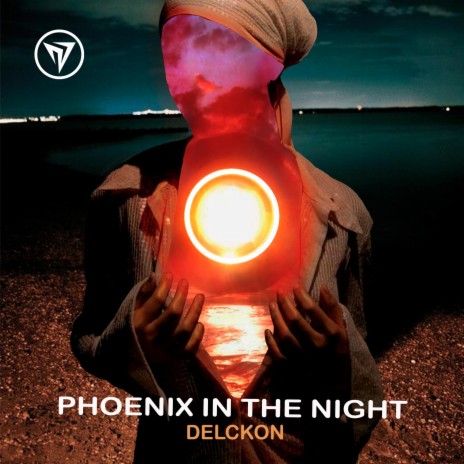 Phoenix in the night